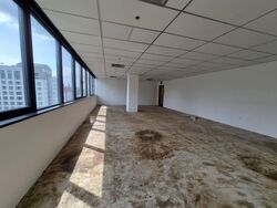 Og Albert Complex (D7), Office #554959011